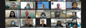 Screen shot of participants in virtual Australia-ASEAN workshop on climate and energy 