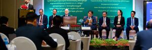 PPP workshop in Cambodia